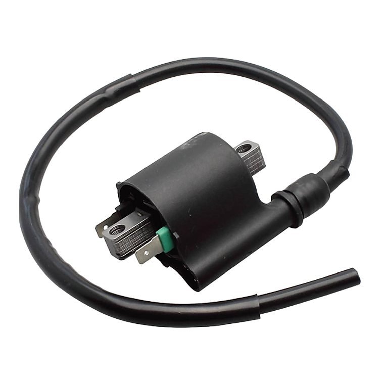 Ignition coils ECO 100